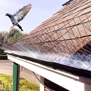 Dispositifs d'effarouchement, clôture <span class=keywords><strong>anti</strong></span>-oiseaux, épines <span class=keywords><strong>anti</strong></span>-pigeons, base en plastique, pointes <span class=keywords><strong>anti</strong></span>-oiseaux en acier inoxydable 304 - Product Image 4