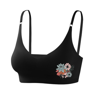 Senza soluzione di continuità triangolo reggiseno tessuto traspirante pizzo senza fili biancheria intima personalizzata regalo per le donne noi POD locale - Product Image 1
