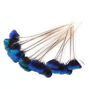 Plumes <span class=keywords><strong>de</strong></span> paon <span class=keywords><strong>de</strong></span> haute qualité 5-7 cm, belles plumes <span class=keywords><strong>de</strong></span> paon naturelles pour la fabrication <span class=keywords><strong>de</strong></span> bijoux, décorations et accessoires décoratifs - Product Image 4