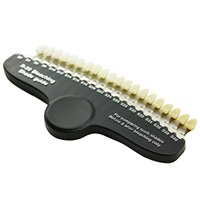 Guía de Tonos Dentales Profesional R20 con Espejo, Accesorios Multiusos de Plástico para Blanqueamiento Dental, Estuche de Lujo para Uso Comercial