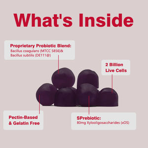 อาหารเสริมโปรไบโอติกออร์แกนิกส่งเสริมให้พืชในลำไส้และสนับสนุนการย่อยสุขภาพ - Product Image 3