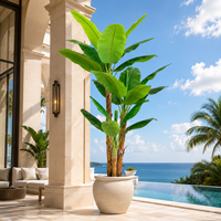 Grand Faux Bananier, Emballage KD, Plante Tropicale au Toucher Réel, Ignifuge et Anti-UV, Pour Projets, Anniversaires, Aménagement Paysager, Vente Directe Usine