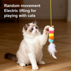 Jouet pour chat électrique à accrocher à la porte, yoyo élastique automatique, anti-morsure en ABS, chenille colorée, plume, jouet interactif pour chat à faire jouer soi-même - Product Image 5