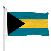 Drapeau nigérian 3x5 de qualité supérieure, double face, avec ourlet à 4 points de couture, robuste, en tissu 210D, indispensable pour l'assurance automobile et l'extérieur
