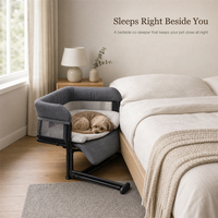 Lit surélevé pour animaux de compagnie USMILEPET, cadre en aluminium, lit surélevé pour chat et chien, design pliable, lit surélevé pour chat