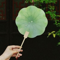 Éventail en papier pivoine pour danse chinoise, photographie, Uchiwa, cadeaux de mariage