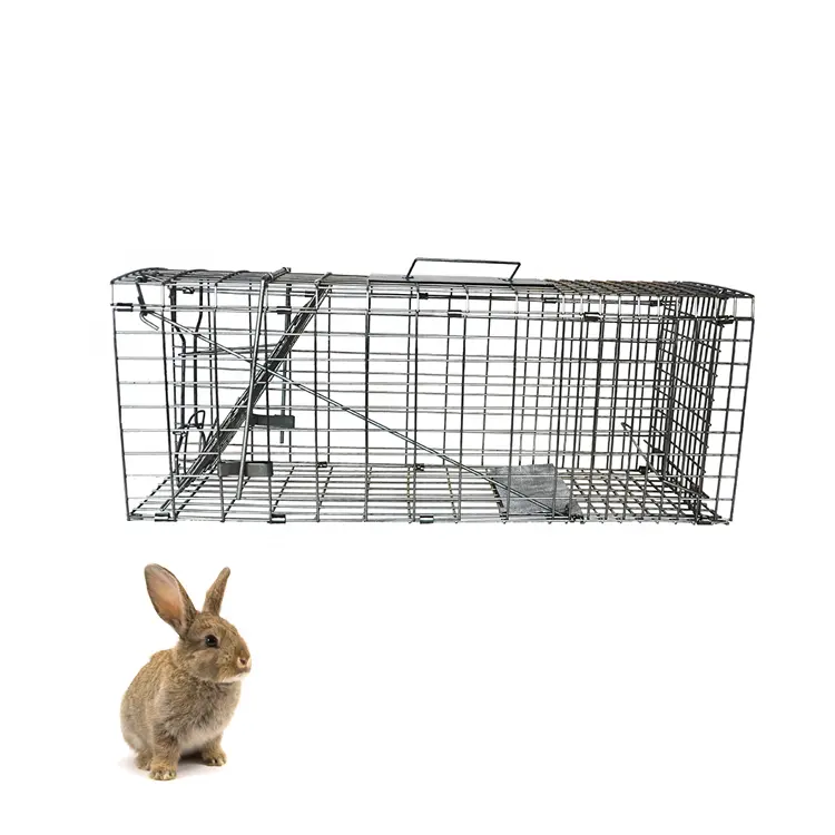 Wholesale Live Coil Spring Steel Live Wild Animal Traps Trap Cage For Sale