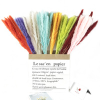 Herbe de la Pampa Touffue de Style Bohème, Eucalyptus et Roseaux Nains Naturels Séchés pour Décoration de Mariage, Maison et Noël