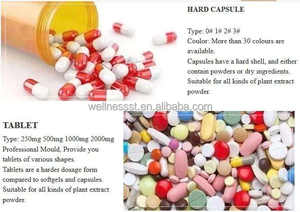 Natuurlijk Maagbestrijdingssupplement-Eetlustremmer Voor Een Plattere Maag En Gewichtsverlies Geformuleerd Met Botanische Extracten - Product Image 6