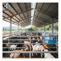 Étable moderne surélevée pour l'élevage de chèvres, structure en acier, élevage de moutons en Chine