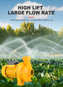 <span class=keywords><strong>Pompe</strong></span> centrifuge auto-amorçante de 2 pouces 220V 110V <span class=keywords><strong>à</strong></span> haute pression et grand débit pour usage domestique, agricole et industriel - Product Image 6