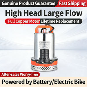 <span class=keywords><strong>Pompe</strong></span> submersible compacte 12V 24V alimentée par batterie solaire pour nettoyage <span class=keywords><strong>de</strong></span> piscine, hauteur <span class=keywords><strong>de</strong></span> refoulement 8m, câble <span class=keywords><strong>de</strong></span> 2,1m - Product Image 3