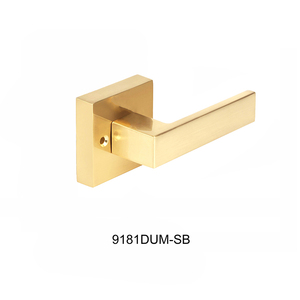 Nhà Máy Giá Thị Trường Mỹ Nhập Keyed Bảo Mật Passage Dummy Hợp Kim Kẽm Lever Set Đôi Xử Lý Khóa Cửa - Product Image 3