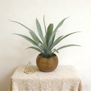 Plante d'agave réaliste à 15 feuilles dans un pot en pulpe de papier avec faux sol pour un aspect naturel, idéal pour la décoration de table de bureau à domicile - Product Image 5