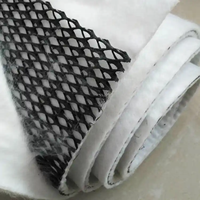 Géonet de drainage 3D laminé en géotextile à installation facile pour le drainage des eaux de récupération des décharges de déchets