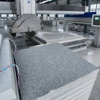 Carreaux de sol carrés modernes sablée, épaissis, à prix ultra-bas direct usine, pour usage en parc, écologiques, durables, robustes, garantie 5 ans