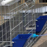Exportation directe d'usine Muhe Nouvelles cages à lapins d'élevage commercial de type H en tuyau galvanisé, 12 unités