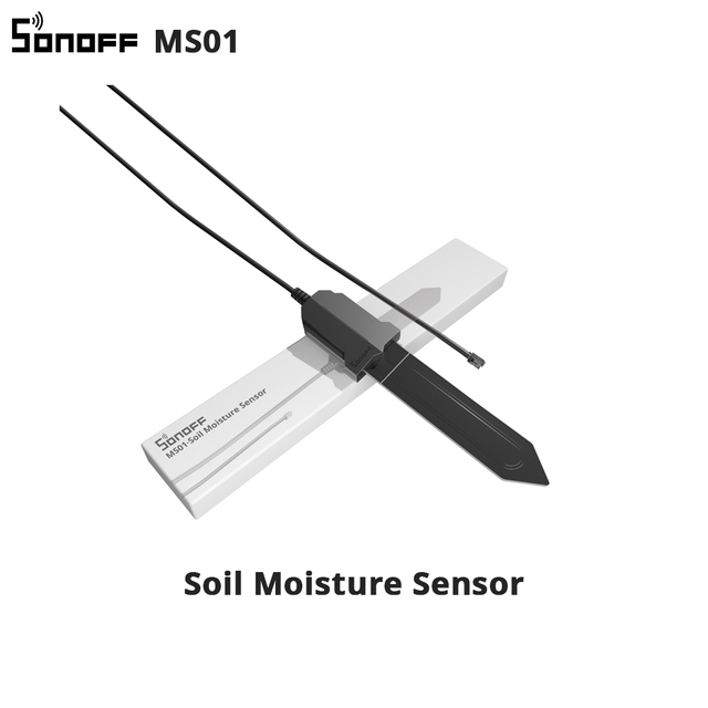 MS01   เอ็มเอส01
