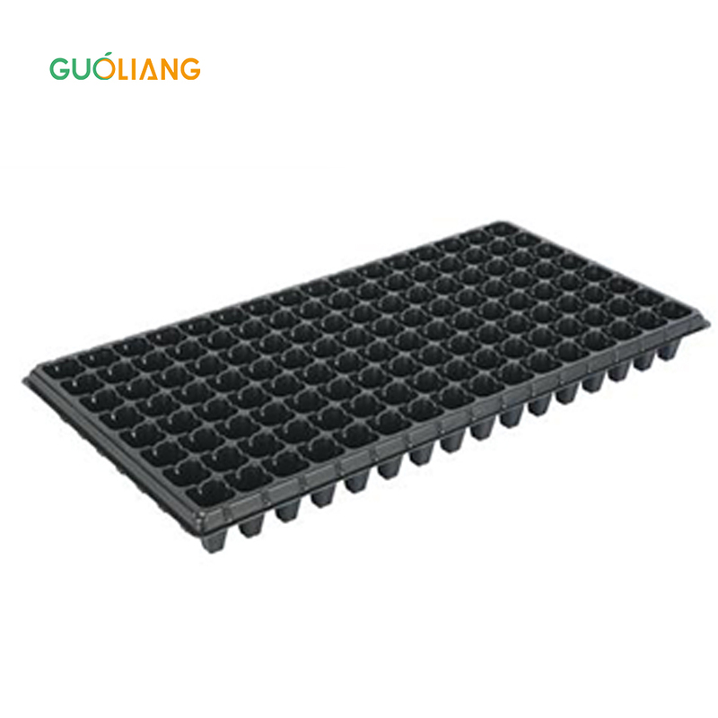 200 Cells Black Blister Process Celery