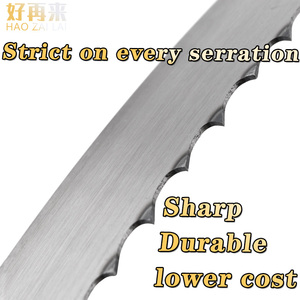 Lame de scie à ruban Grizzly et <span class=keywords><strong>Magg</strong></span> y ou Salvador e 1650 pour la découpe rapide de viande et d'os congelés - Product Image 2