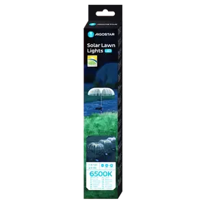 Lumière LED solaire d'ambiance 6500K, acier inoxydable, idéale pour les jardins et les pelouses, apporte de l'éclairage et du style à l'extérieur. - Product Image 2