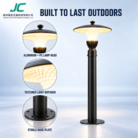 Lampe de chemin LED solaire extérieure personnalisée OEM, style décoratif, pour projets de jardinage et aménagement paysager