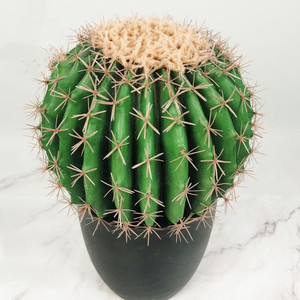Flores Artificiales de Alta Calidad para Decoración del Hogar, Planta Artificial de Cactus, Venta al por Mayor de Fábrica - Product Image 2
