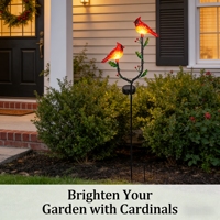 Figurine d'oiseau rouge Poinsettia de Noël, lumières solaires LED, piquets de jardin en fer, lumière décorative résistante à l'eau