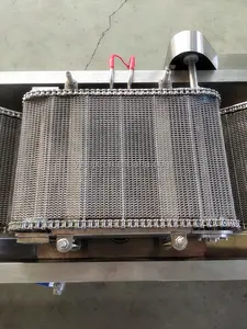 Hopper Dalam Batch Kecil dan Harga Pabrik Fryer Konveyor Jala Kecepatan Dapat Disesuaikan