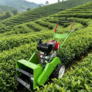 Motoculteur compact 170F à essence pour l'aération des sols maraîchers, <span class=keywords><strong>entretien</strong></span> simple - Product Image 1