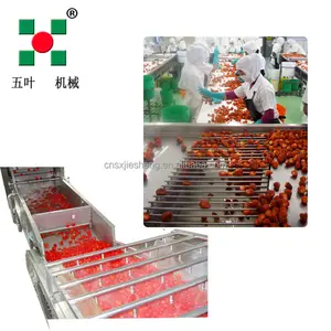 Frozen Vegetable Fruit Washing Blanching Machine Line Freezing Fruit Vegetable Processing Machine Line