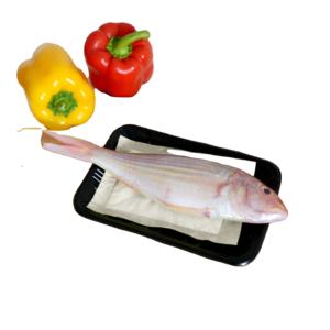 Tampon absorbant jetable pour viande, tampon d'adsorption d'eau 170x100mm, qualité alimentaire et écologique, 60ml/pièce - Product Image 4