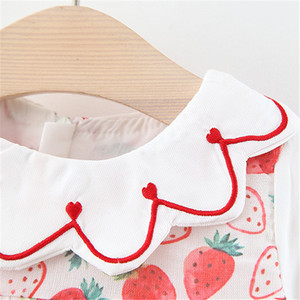 Se Busca Distribuidor: Disfraces de Frutas Importadas para Niños, Material para Vestidos, Compra en Línea, Precio - Product Image 3