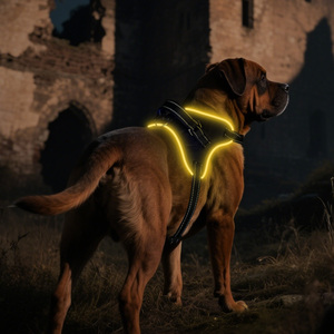 Semplice imbracatura per cani in fibra - Product Image 4