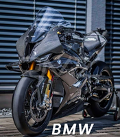 Kits de carénage en fibre de carbone pour BMW S1000rr 2019-2024, accessoires de modification de moto