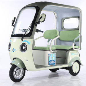 Tricycle électrique 650W 60V20AH Batterie au plomb-acide Pneu 300-10 Moteur sans balais 3 vitesses Frein hydraulique Moto à 3 roues - Product Image 5