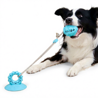 Jouet à mâcher pour chien en TPR à ventouse, type Tug-of-War, avec forte aspiration, nettoyage des dents et design écologique – Prix usine