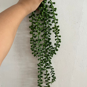 Planta Artificial Colgante de Perlas, Tipo Suculenta, para Decoración de Paredes, Hogar, Jardín y Exteriores - Product Image 2