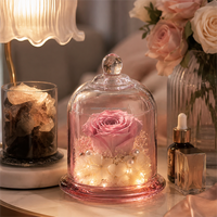 Campana de Cristal con Flor Preservada Personalizada, con Luz LED Cálida, Rosa Eterna, Regalo de Cumpleaños Pequeño y Lujoso para Venta al por Menor y Comercio Electrónico