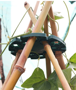 Supports pour plantes grimpantes en plastique PP vert foncé pour plantes en pot et légumes grimpants - Product Image 1
