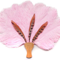 HY grand éventail à main pliant en plumes d'autruche pour femmes Costume Show Tea Party accessoire vacances danse mariée mariage décor