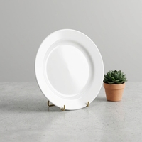 Ensemble d'assiettes plates en mélamine - Assiettes en plastique blanches pour restaurant, hôtel, traiteur et usage domestique quotidien