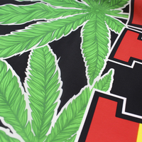 Banda Hippie de BOB Marley Reggae Rasta de 3x5 pies de poliéster de alta calidad, en algún lugar, bandera Roma de hierba de humo 420 para Bar, fiesta, Bandera de música