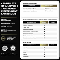 Capsules de Maca Noire Ashwagandha OEM à Prix de Gros pour l'Amélioration et la Vitalité Masculine – Capsules Énergisantes à la Maca