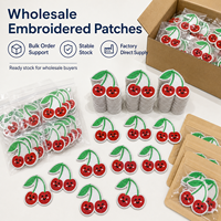 Lot de patchs brodés cerises à thermocoller ou à coudre, appliques mignonnes en forme de fruits pour vêtements, vestes, sacs, décoration DIY