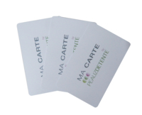 Carte de visite magnétique en PVC vierge programmable, étanche, mini interface RFID NFC 13,56 MHz, puce 1K, utilisation hôtelière
