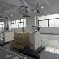 Robot Colaborativo Inteligente para Paletización, Robot de Apilamiento Automático para Taller de Empaquetado de Fertilizantes