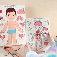Juguete de anatomía Montessori para niños, rompecabezas educativo de órganos internos con capas, para preescolar