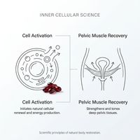 Capsules de Restauration Vaginale Avancée : Complexe Herbal Bio-Actif pour l'Élasticité Musculaire et l'Équilibre Hormonal (Marque Privée)
