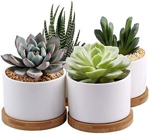 Petits pots en céramique pour <span class=keywords><strong>cactus</strong></span> d'intérieur, design carton, finition émaillée, pour plantes succulentes, à suspendre ou à poser au sol, décoration intérieure, bienvenue - Product Image 3